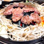 本日のおすすめ